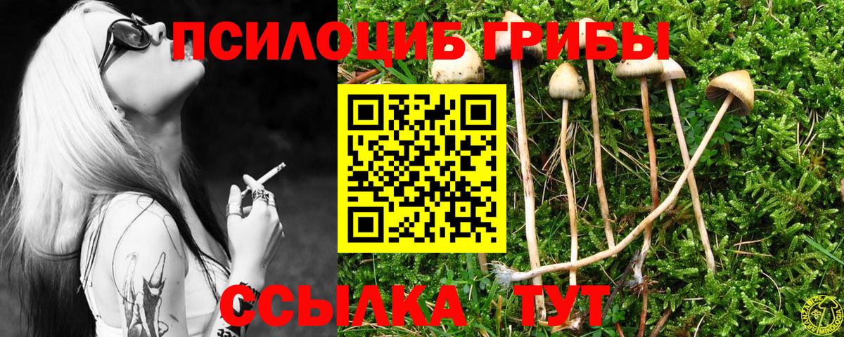 Арзамас  Псилоцибиновые грибы Psilocybe  закладки  Вход с VPN 