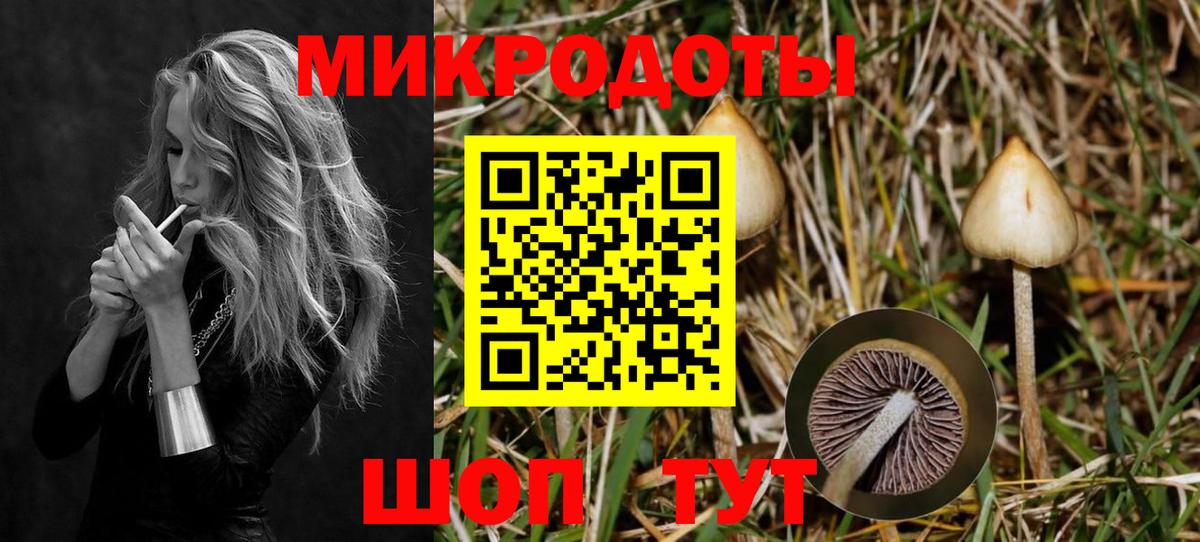 Псилоцибиновые грибы мицелий Арзамас